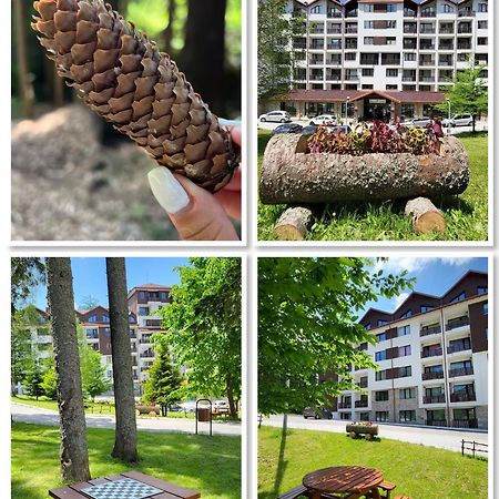 The Green Apartment Μπόροβετς Εξωτερικό φωτογραφία