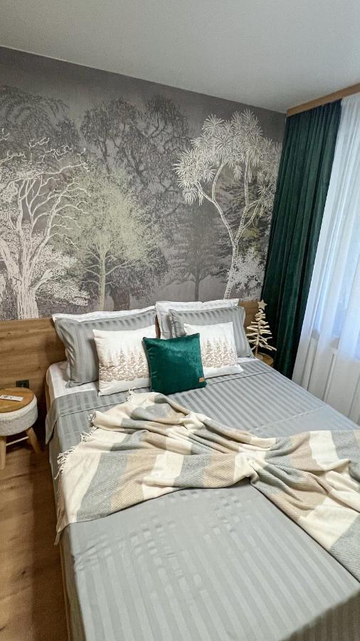The Green Apartment Μπόροβετς Εξωτερικό φωτογραφία