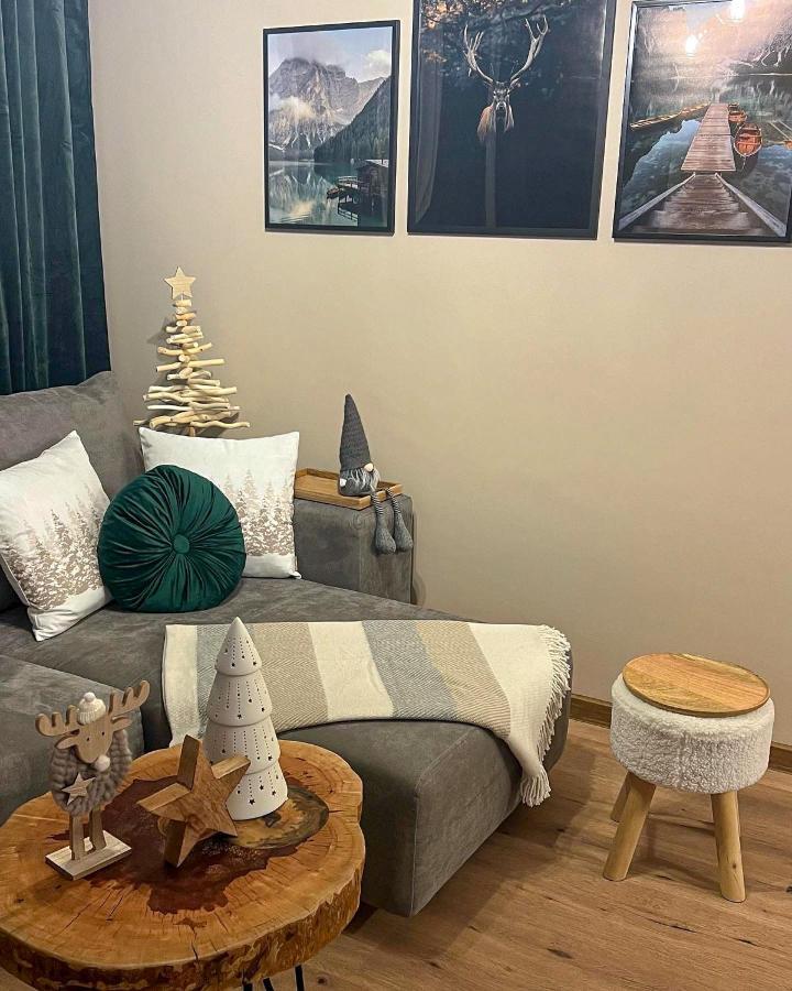 The Green Apartment Μπόροβετς Εξωτερικό φωτογραφία