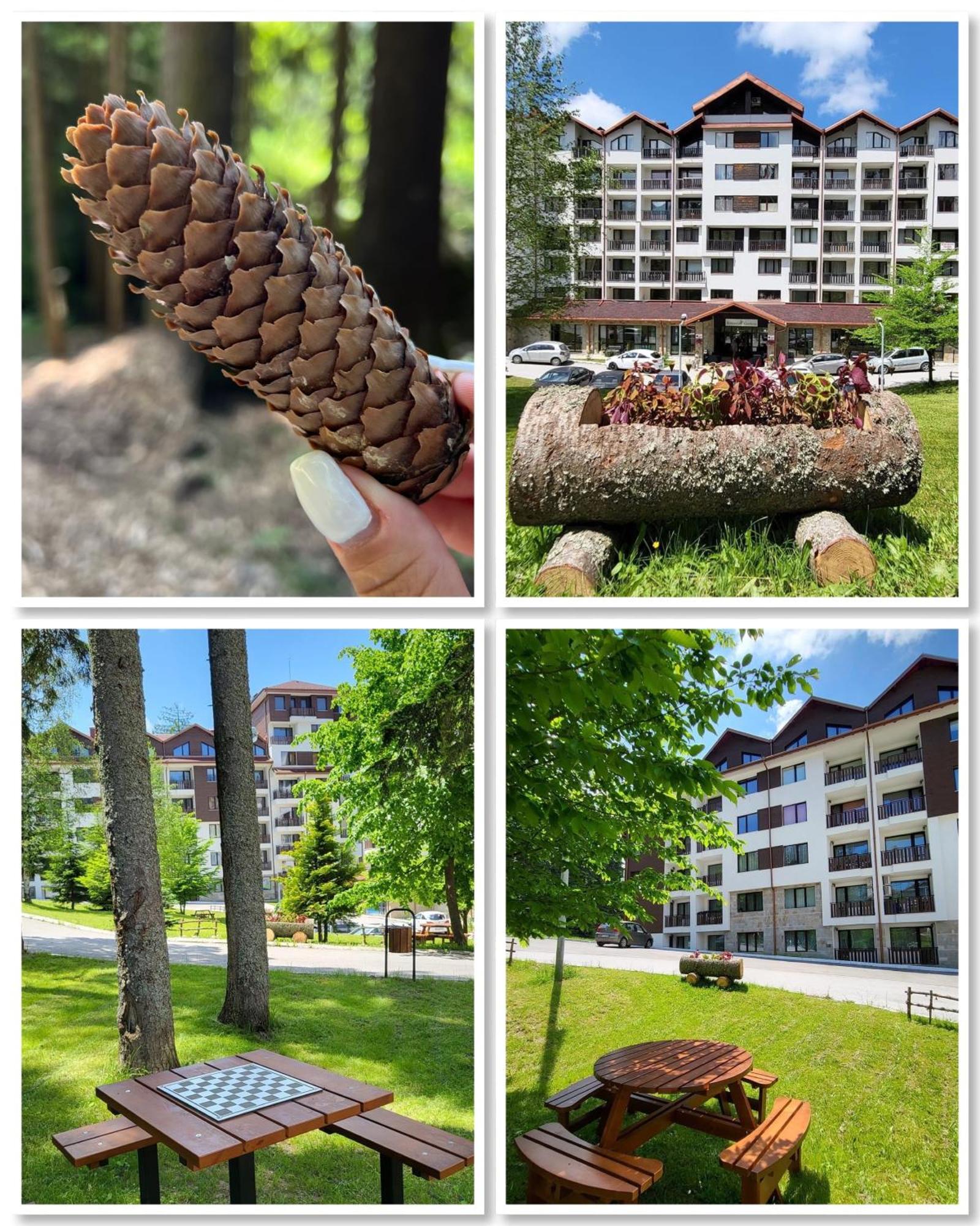 The Green Apartment Μπόροβετς Εξωτερικό φωτογραφία